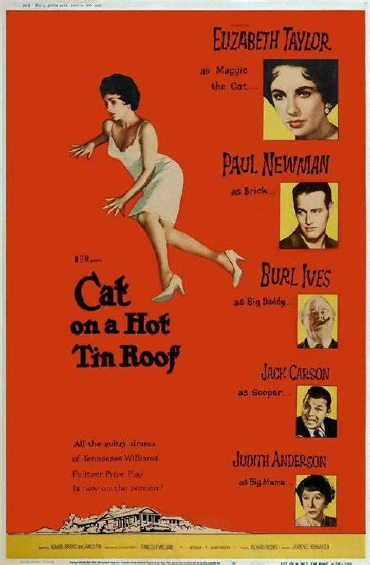 Cat on a Hot Tin Roof Manwha, Neon Genesis Plagiarism 