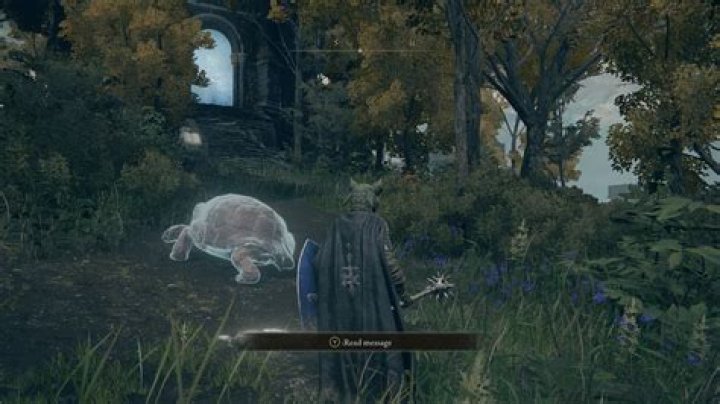 Elden Ring First Wise Beast Location, Chelona's Rise Walkthrough