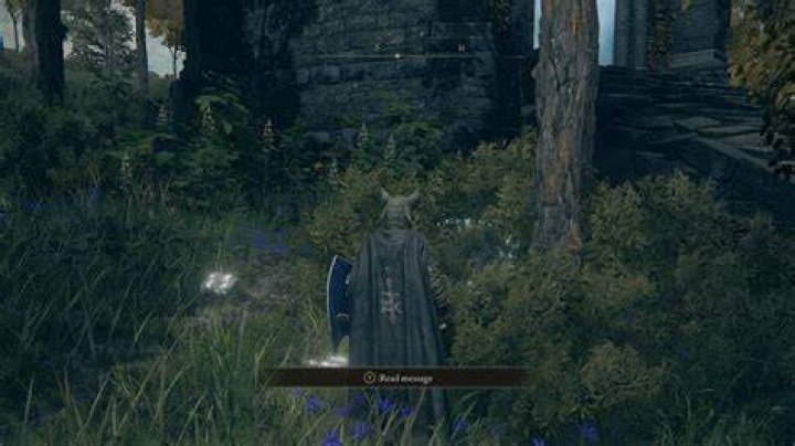 Elden Ring Second Wise Beast Location, Chelonas Rise Walkthrough