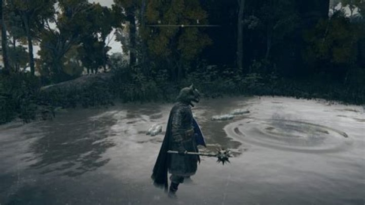 Elden Ring Third Wise Beast Location, Chelonas Rise Walkthrough