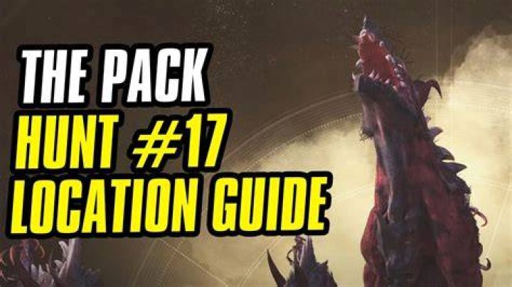 The Pack Location